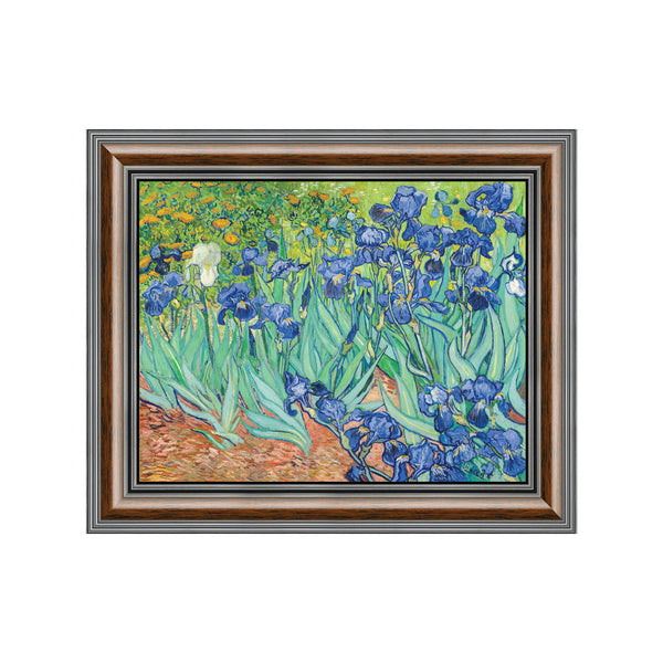 Irises by Vincent Van Gogh Framed Wall Art Print, Excellent for Bedroom or Living Room Wall Decor, 11x14, 2445