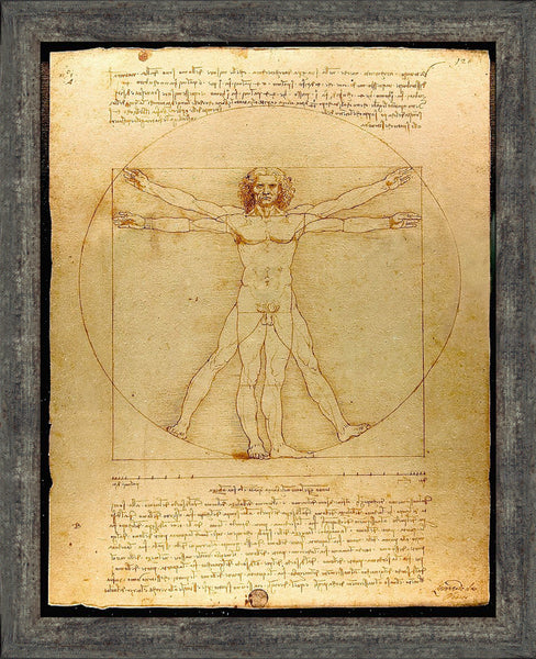 The Vitruvian Man Leonardo Da Vinci, World Famous Wall Art Collection, Fine Art Drawing, 11x14, 2453