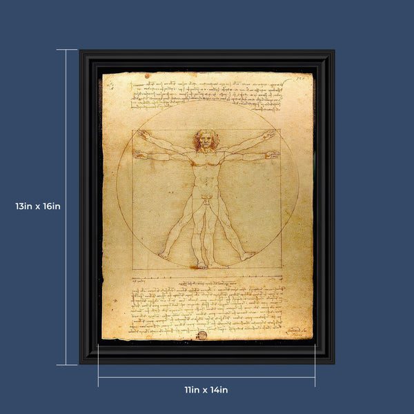 The Vitruvian Man Leonardo Da Vinci, World Famous Wall Art Collection, Fine Art Drawing, 11x14, 2453