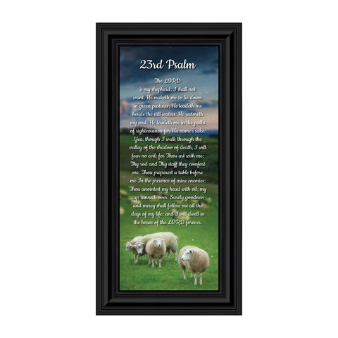 Psalm 23 Christian Wall Art, The Lord is My Shepherd Bible Verses Wall Decor, Christian Decorations for Home, Framed Christian Plaque with Comforting and Encouraging and Words, 7307