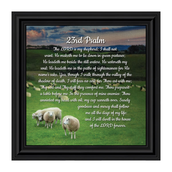 Psalm 23 Christian Wall Art, The Lord is My Shepherd Bible Verses Wall Decor, Christian Decorations for Home, Framed Christian Plaque with Comforting and Encouraging and Words, 8654