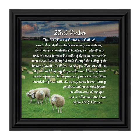 Psalm 23 Christian Wall Art, The Lord is My Shepherd Bible Verses Wall Decor, Christian Decorations for Home, Framed Christian Plaque with Comforting and Encouraging and Words, 8654
