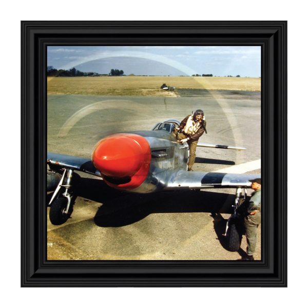 8513B_5a726035-a2a3-466d-91bf-9e29322ebc75