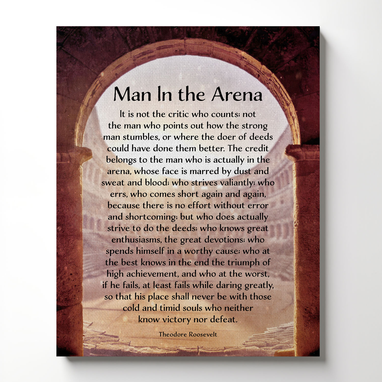 Man in Arena