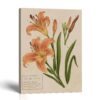 Day Lily Canvas Print - Day Lily Botanical Study by Crossroads Home Decor