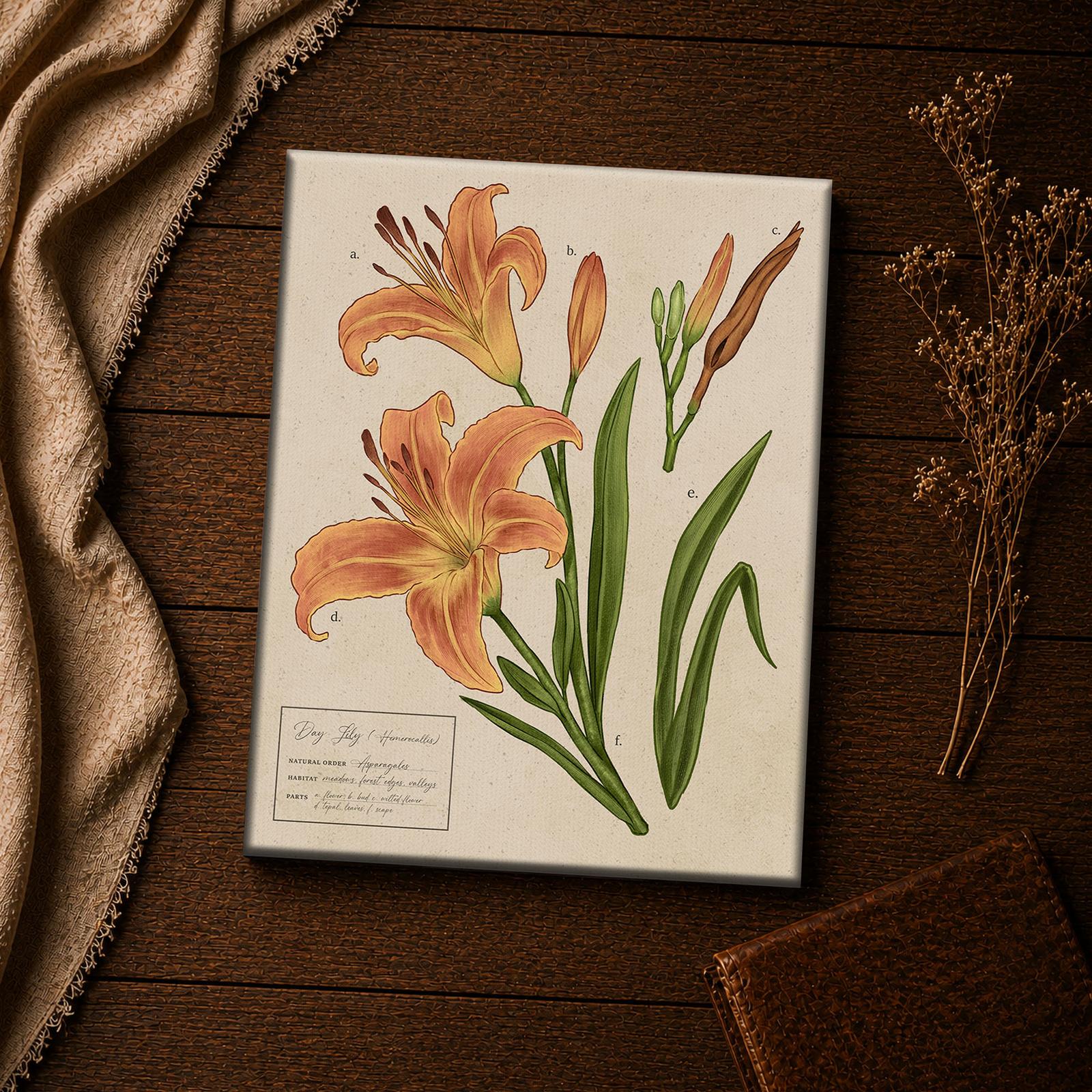 Day lily bloom close-up - orange botanical wall art detail