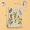 Medicinal Herbs canvas print - gallery wrapped and floating frame styles