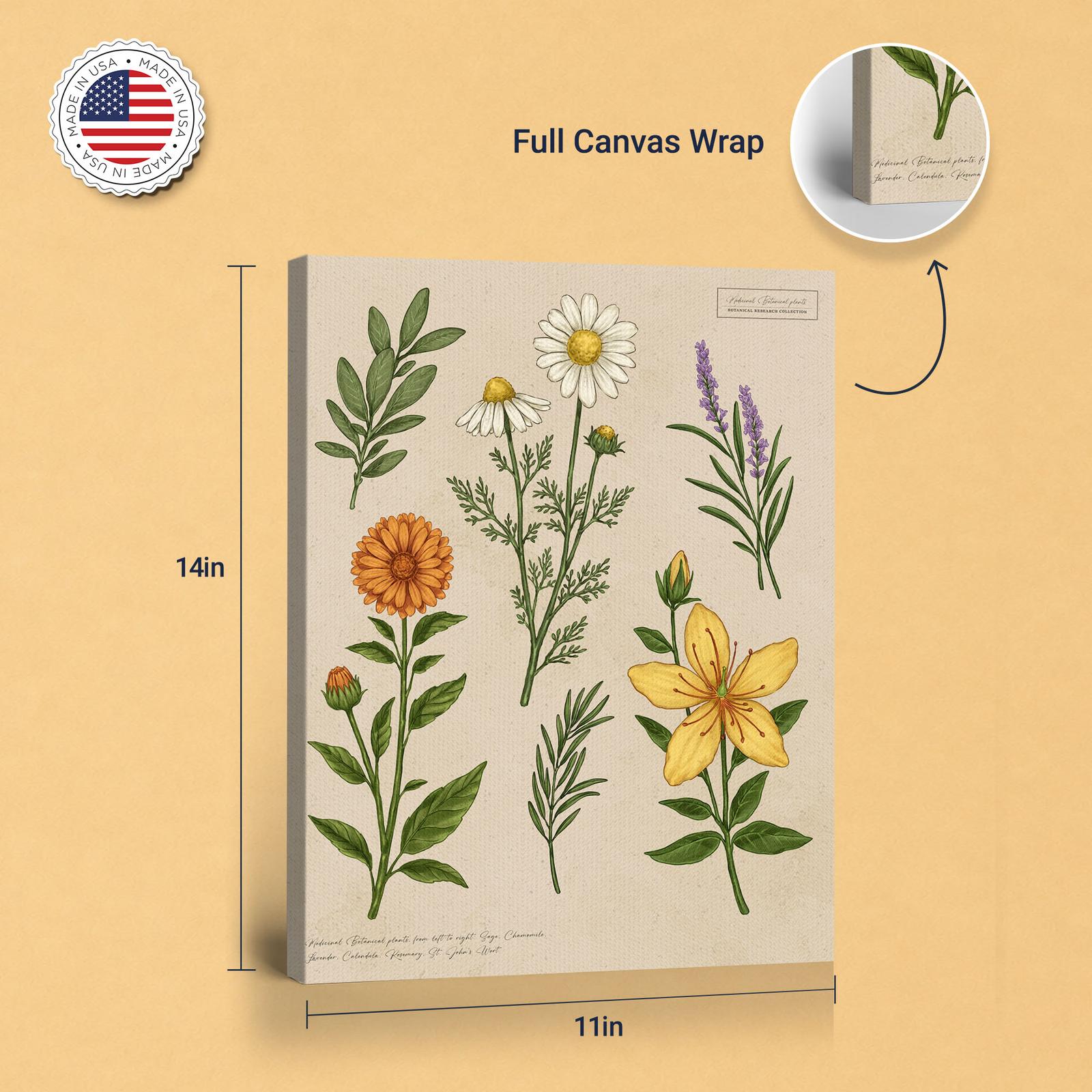 Medicinal Herbs canvas print - gallery wrapped and floating frame styles