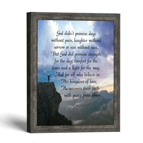God Didn't Promise wall art - God Didn't Promise Days Without Pain by Crossroads Home Decor