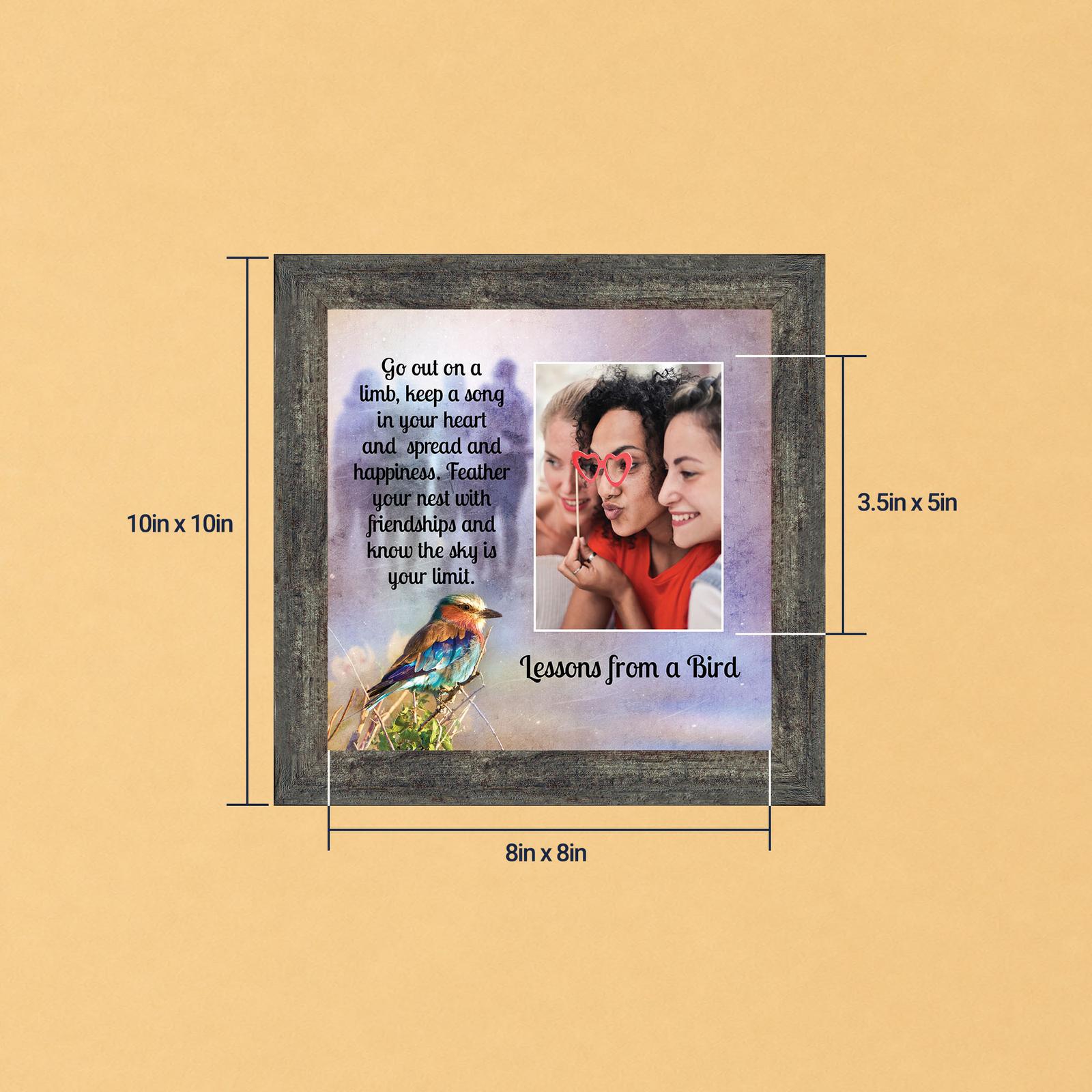 6458BW-8 Lilac breasted roller picture frame - Lessons from a Bird by Crossroads Home Decor