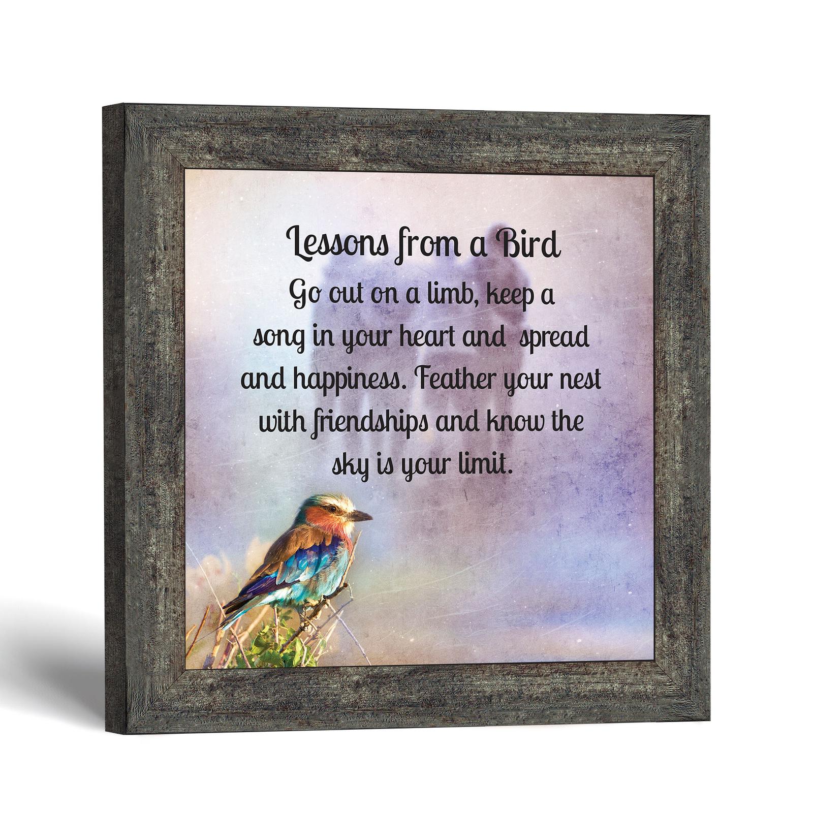 Lilac breasted roller framed print - Lessons from a Bird by Crossroads Home Decor