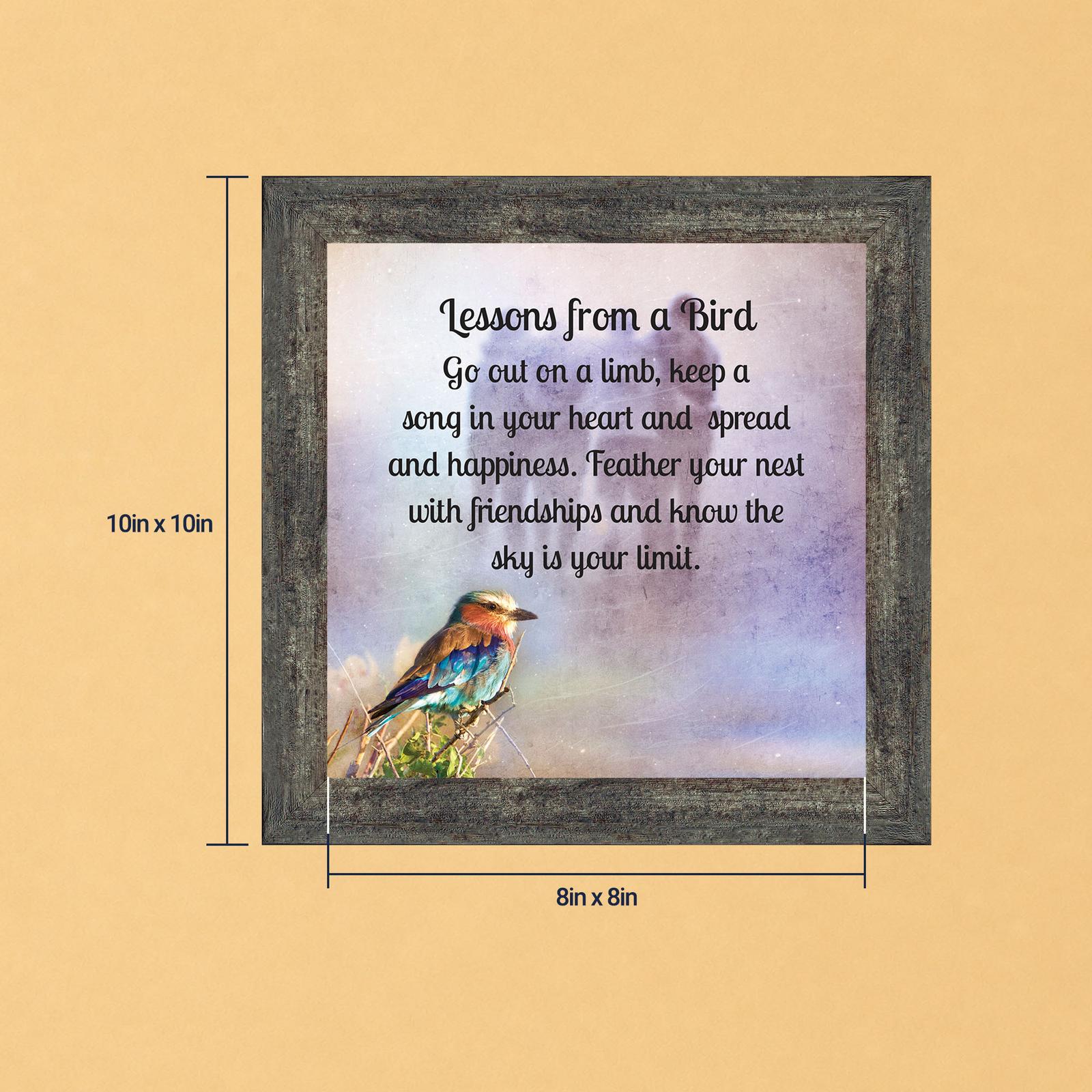 Lilac breasted roller framed print - Lessons from a Bird by Crossroads Home Decor