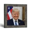Donald Trump framed print - Official Presidential Portrait by Crossroads Home Decor