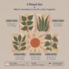 Terracotta Sun and Sage canvas print - sage monstera and terracotta sun plant wall art detail