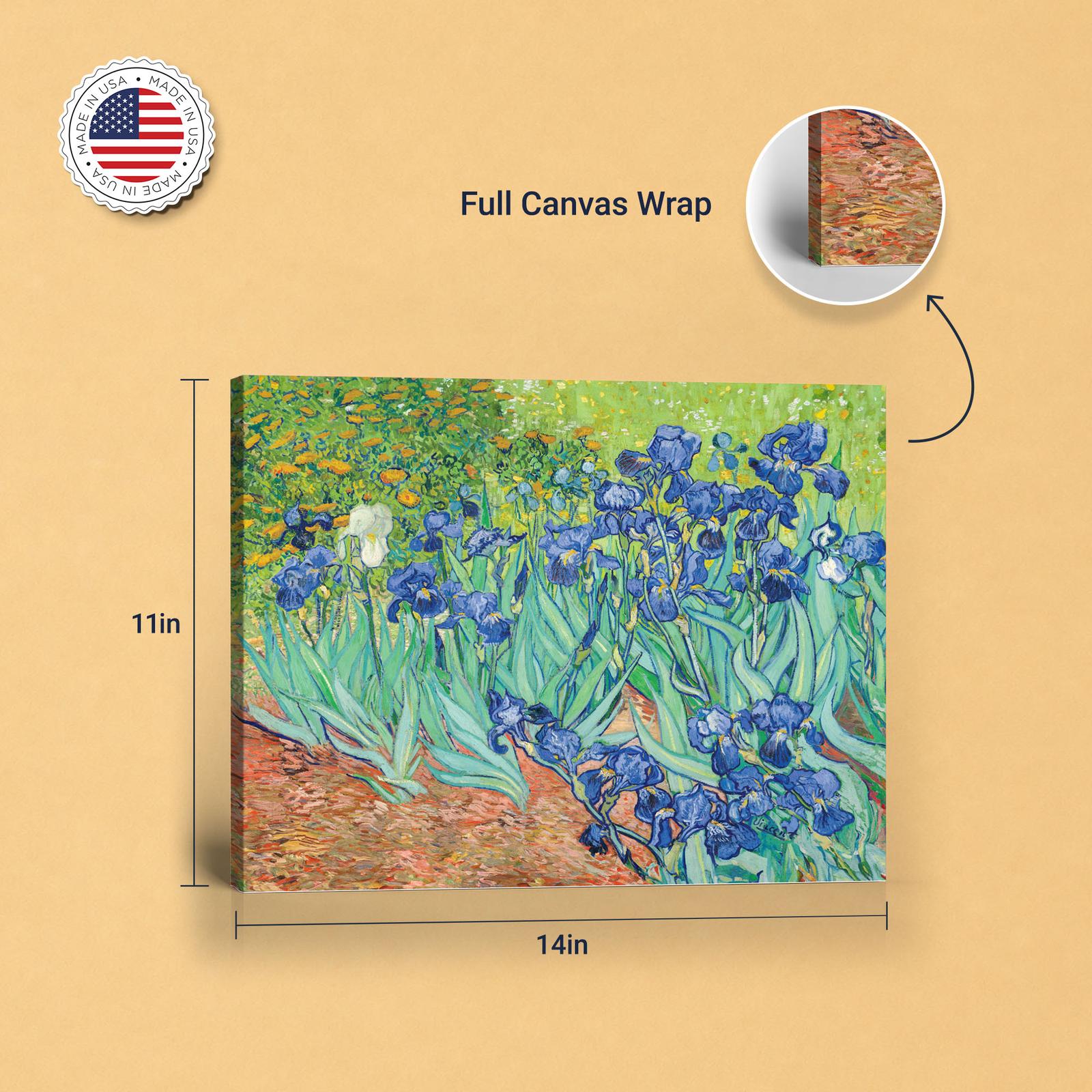 C2445C-8-11x14-1 Irises canvas - gallery wrapped and floating frame styles