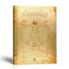 Vitruvian Man canvas print - Leonardo da Vinci Renaissance wall art by Crossroads Home Decor