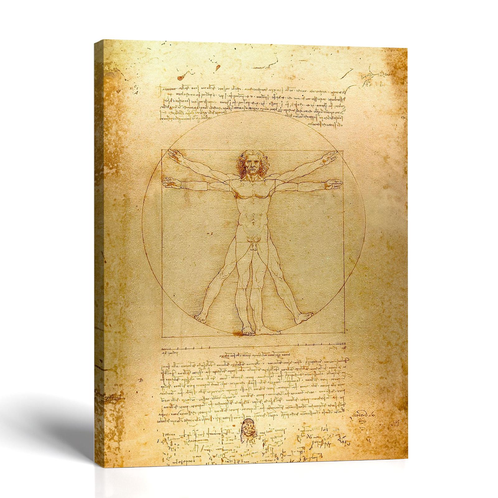 Vitruvian Man canvas print - Leonardo da Vinci Renaissance wall art by Crossroads Home Decor