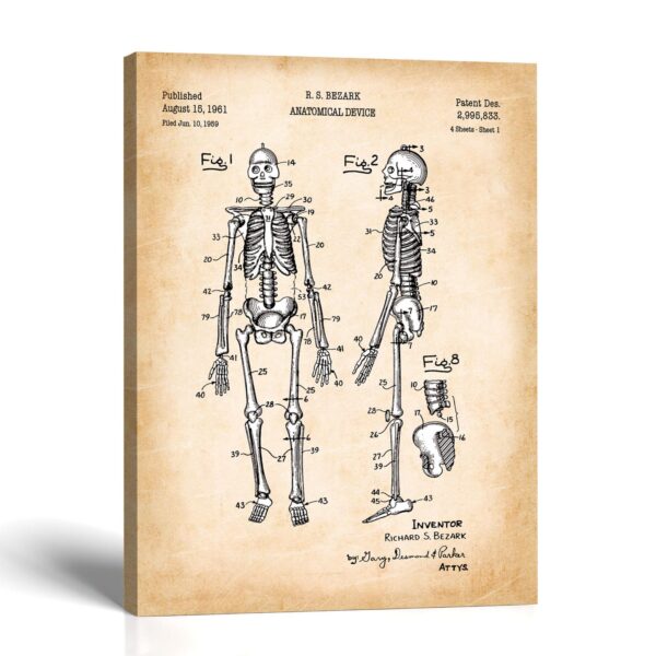 Human skeleton patent canvas print - 1961 anatomical device patent print by Crossroads Home Decor