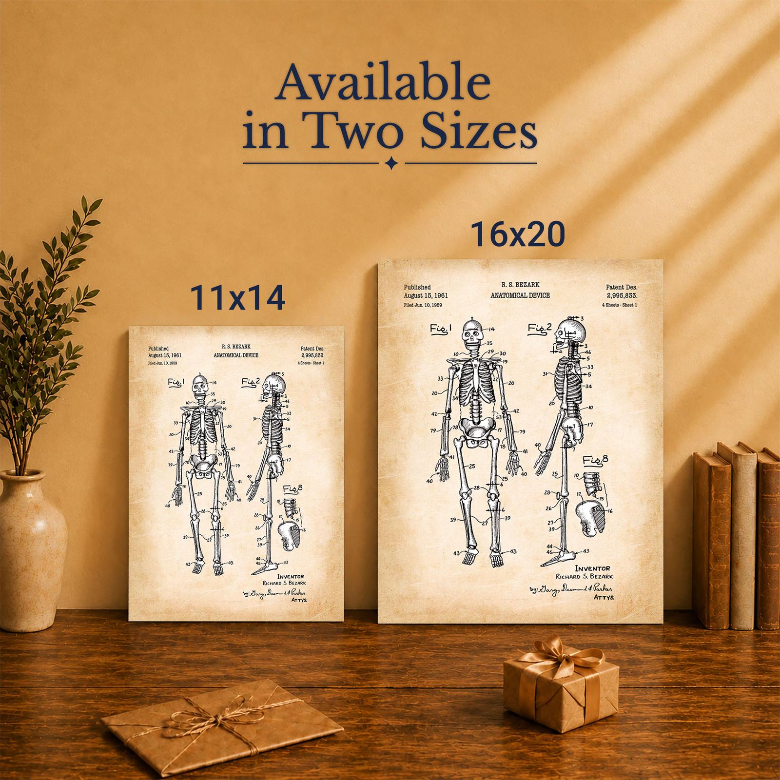 C2547C-5 Human skeleton patent canvas print - Made in USA family-owned study wall art