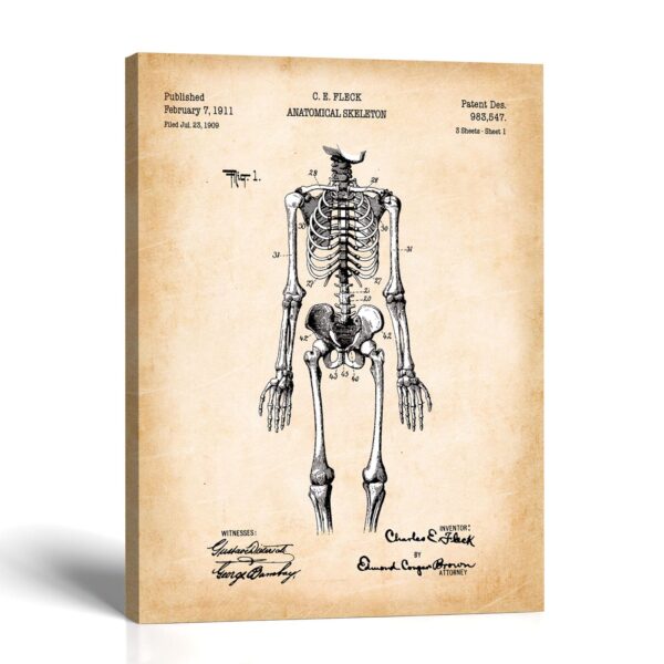 Anatomical skeleton patent canvas print - 1911 engraved anatomy patent print by Crossroads Home Decor