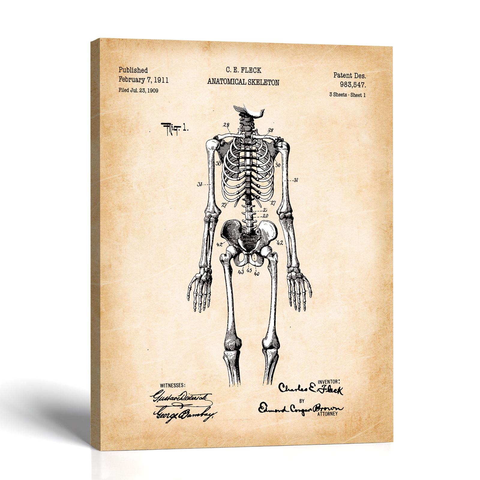 Anatomical skeleton patent canvas print - 1911 engraved anatomy patent print by Crossroads Home Decor