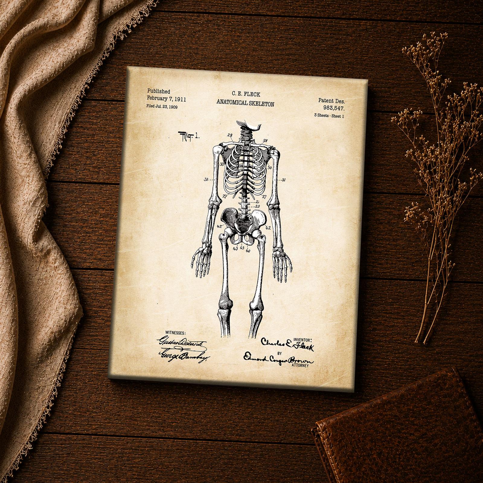 1911 anatomical skeleton patent print - vintage anatomy inspirational wall art