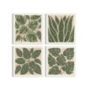 Sage Green Houseplant Leaves canvas print - Sage Green Houseplant Canvas Wall Art Set of 4 by Crossroads Home Decor