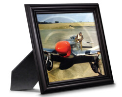 World War II / Historical